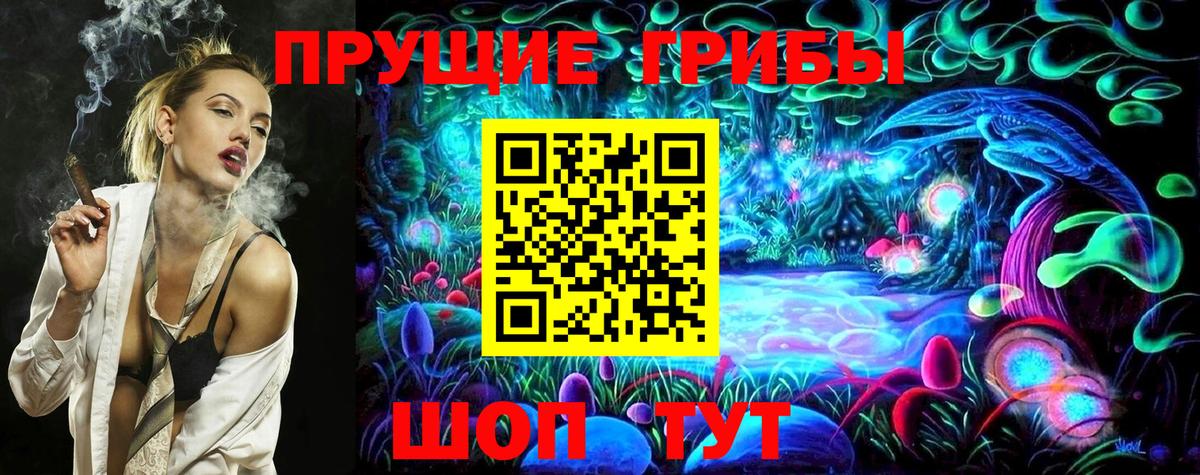 Псилоцибиновые грибы Psilocybe Тавда