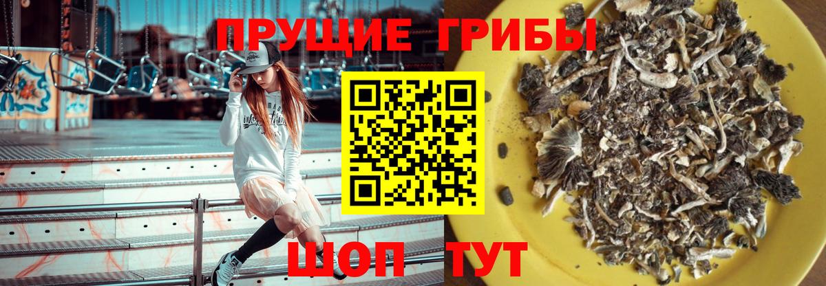 Псилоцибиновые грибы Cubensis  Вход с VPN  Тавда  Галлюциногенные грибы Psilocybine cubensis 
